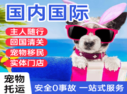 重庆江北国际宠物托运 【国